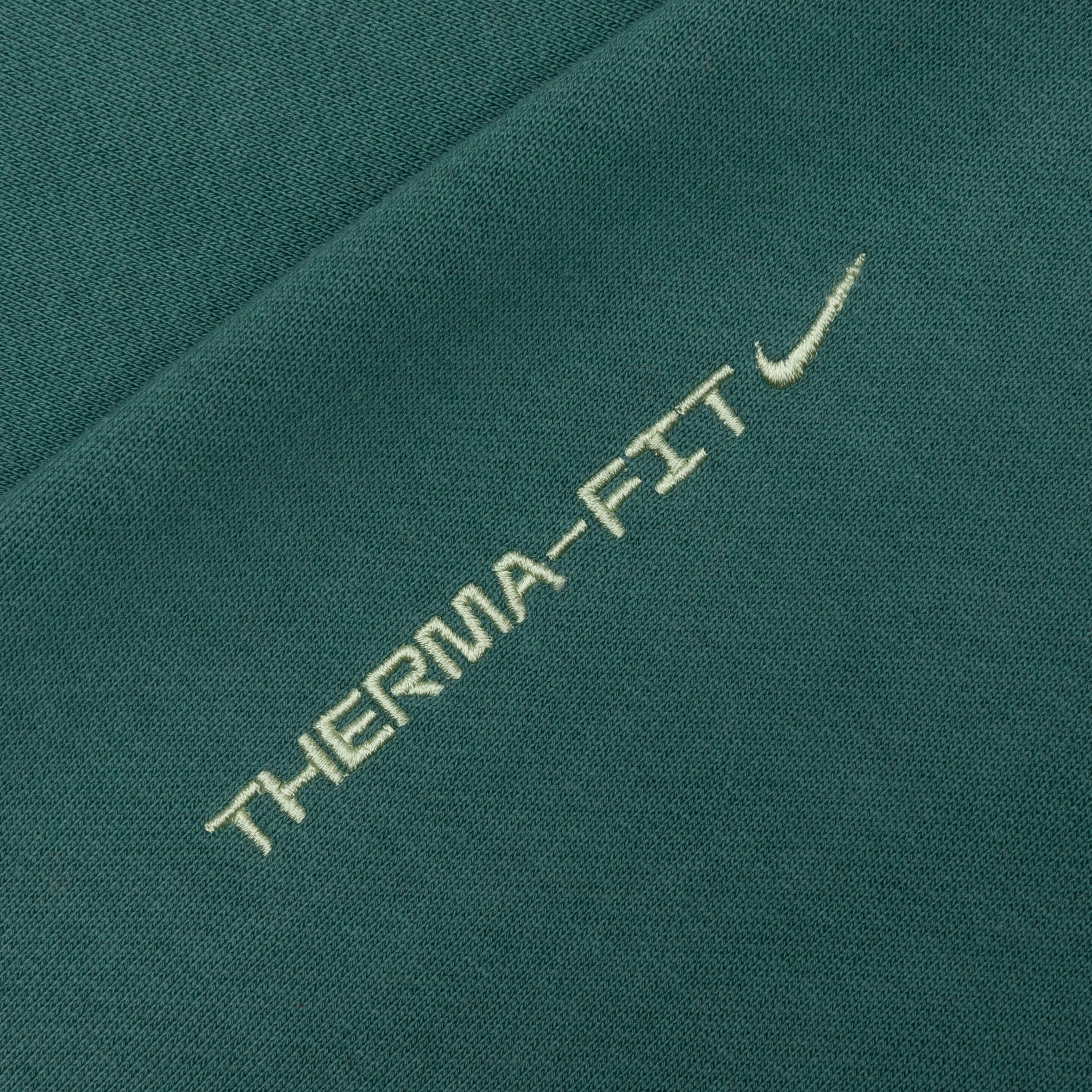 ACG Therma-Fit Pullover Hoodie - Bicoastal/Dusty Sage/Honeydew