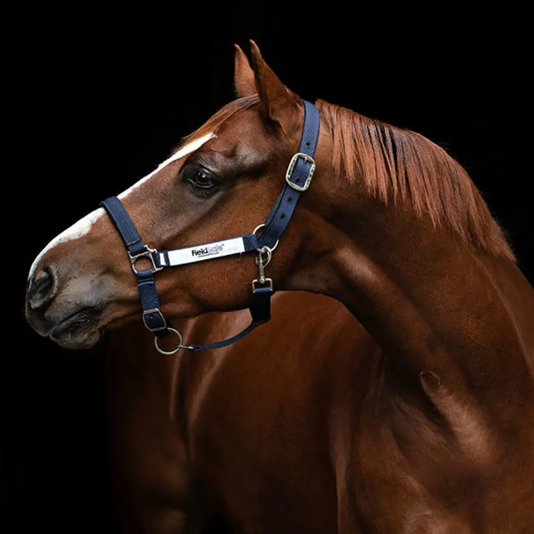 Horseware Ireland Field Safe Headcollar