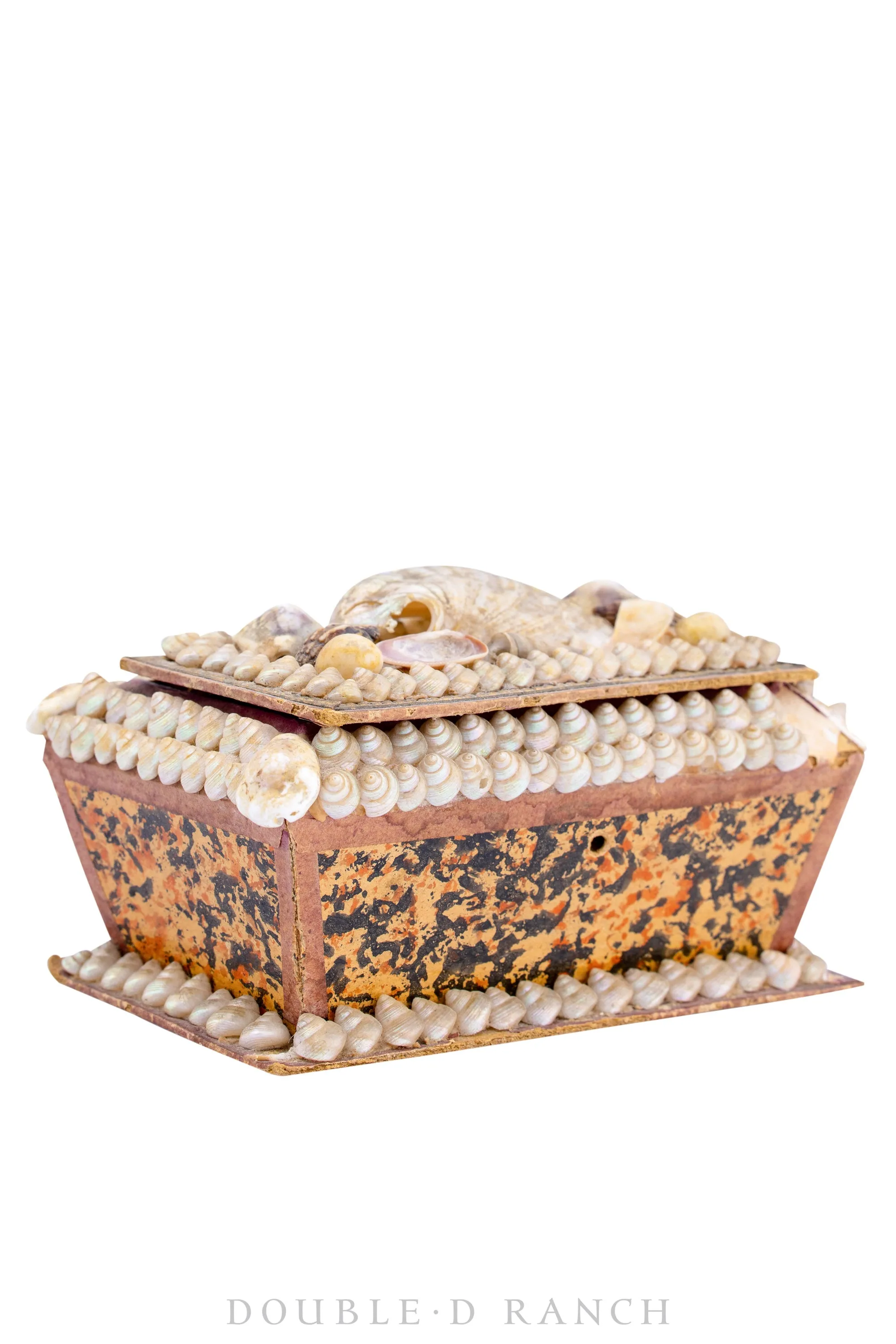 Miscellaneous, Encrusted Shell Box, Vintage, 484