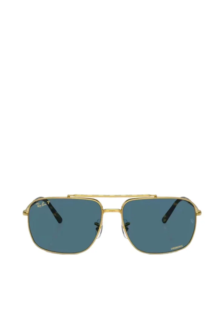 Ray Ban 0RB3796 Sunglasses