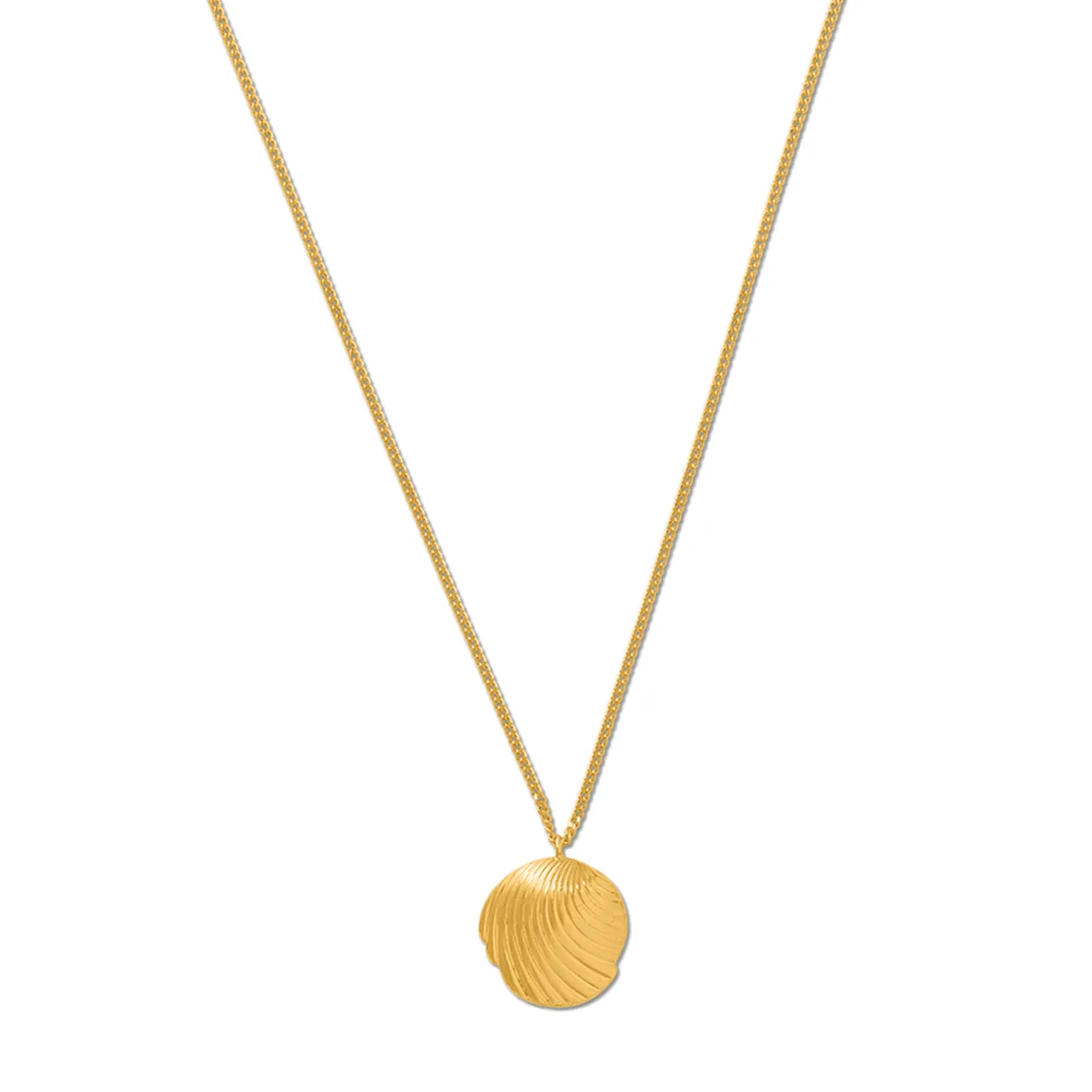 Scallop Coin Necklace