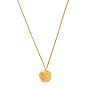 Scallop Coin Necklace